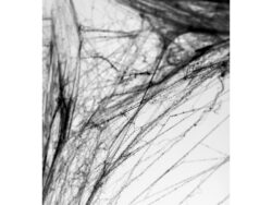 PH60-010