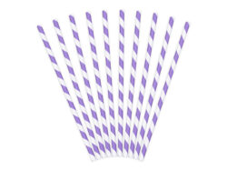 SPP1-004