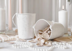 WNP1